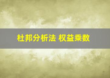 杜邦分析法 权益乘数